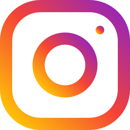 icone instagram